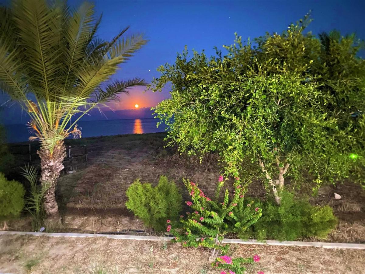 Paradise Karpaz Hotel & Restaurant Rizokarpaso Екстериор снимка