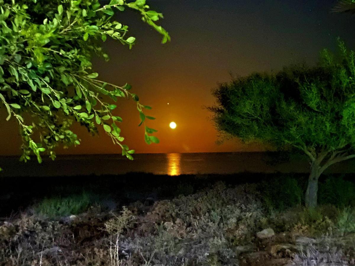 Paradise Karpaz Hotel & Restaurant Rizokarpaso Екстериор снимка